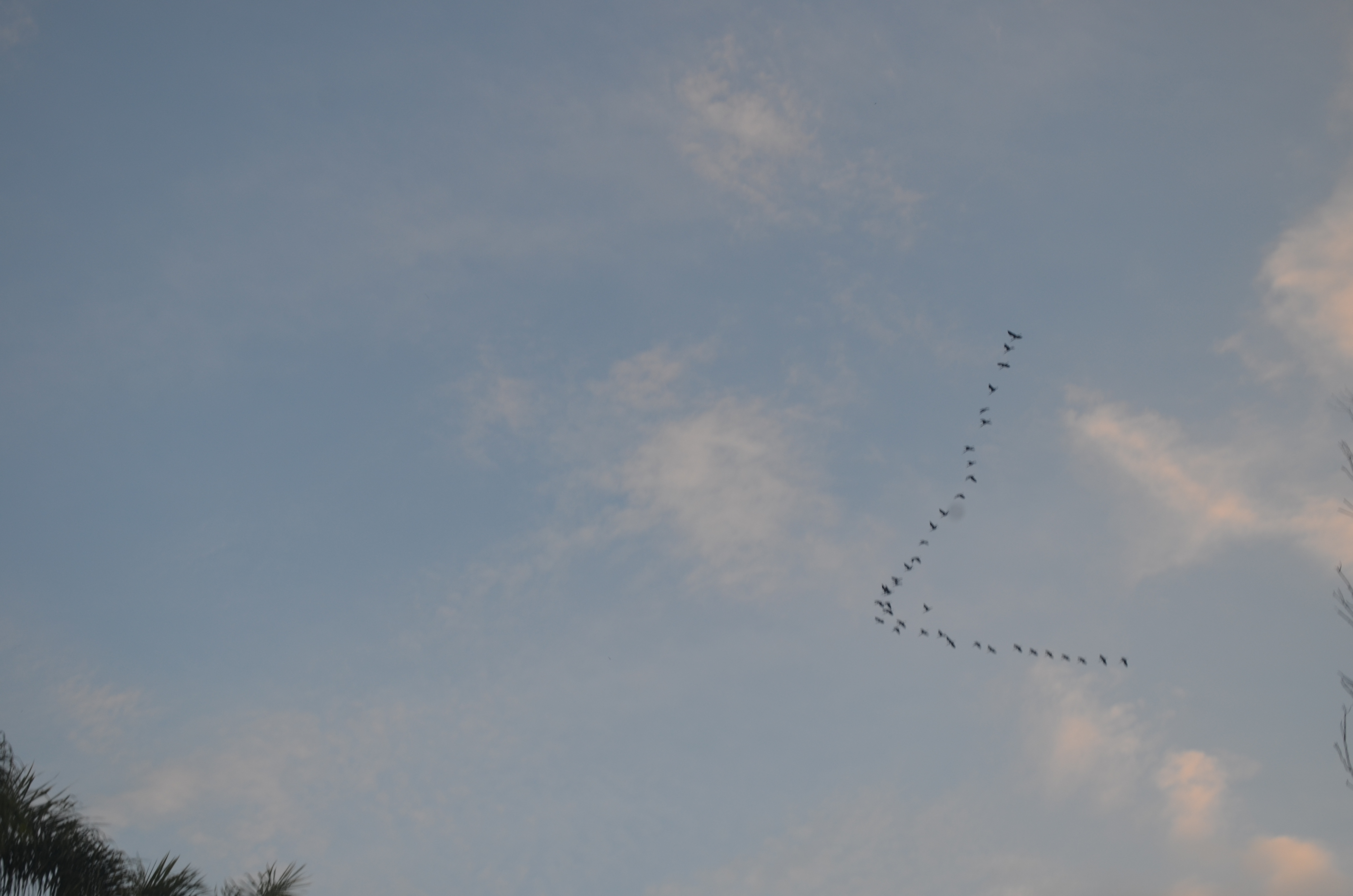 DSC_0366.JPG